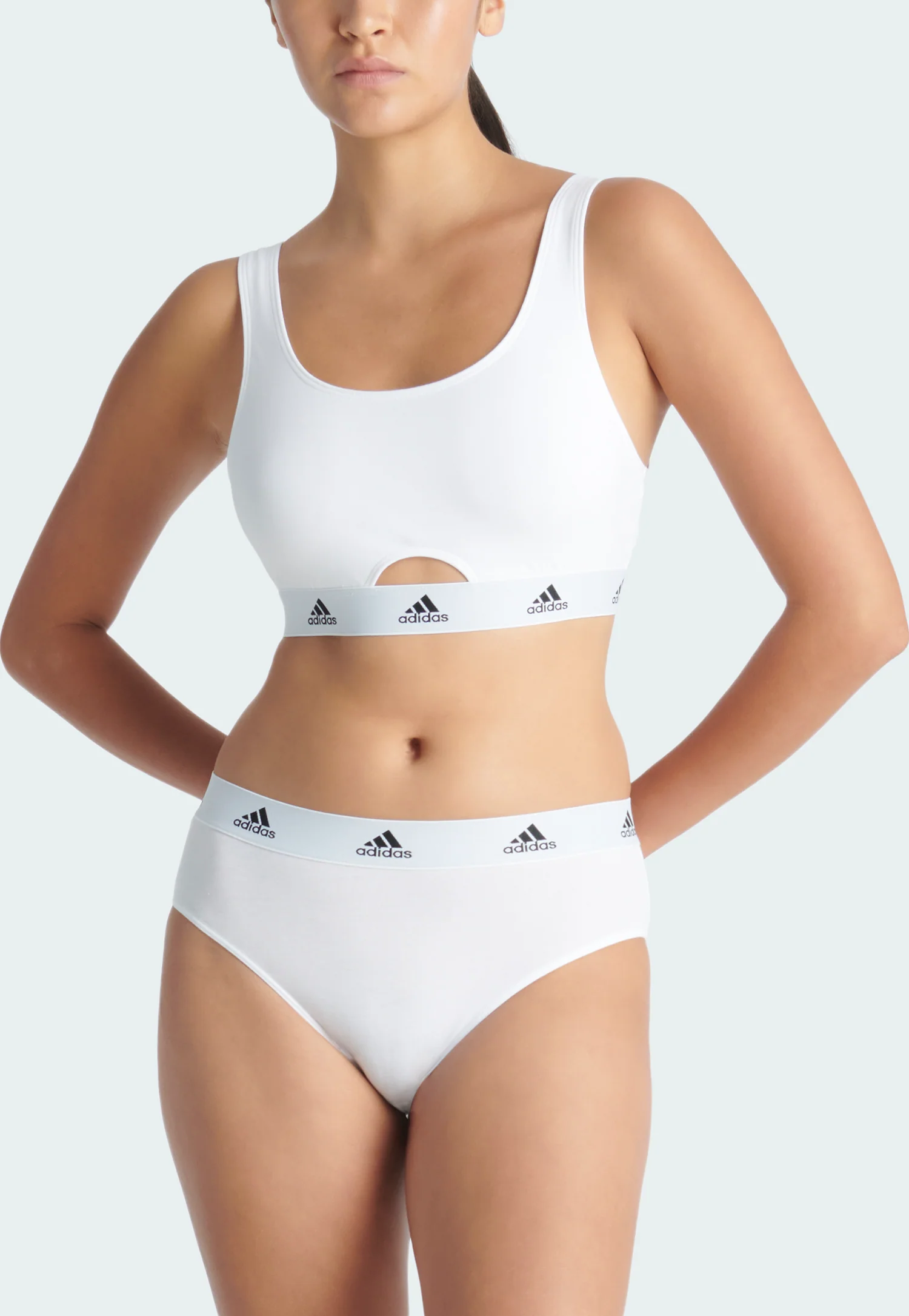 ACTIVE COMFORT COTTON BIKINI BRIEF - Image 12