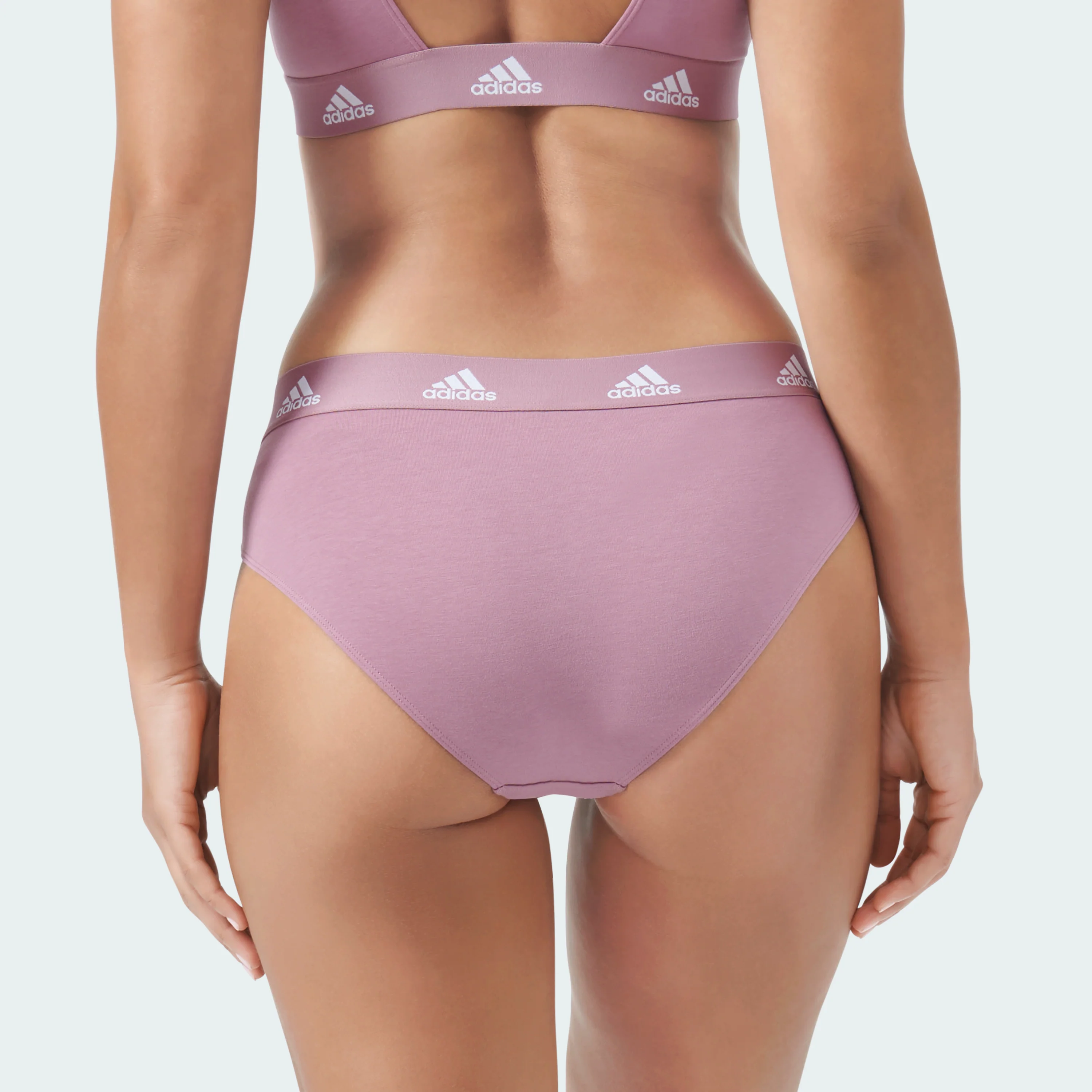 ACTIVE COMFORT COTTON BIKINI BRIEF - Image 51