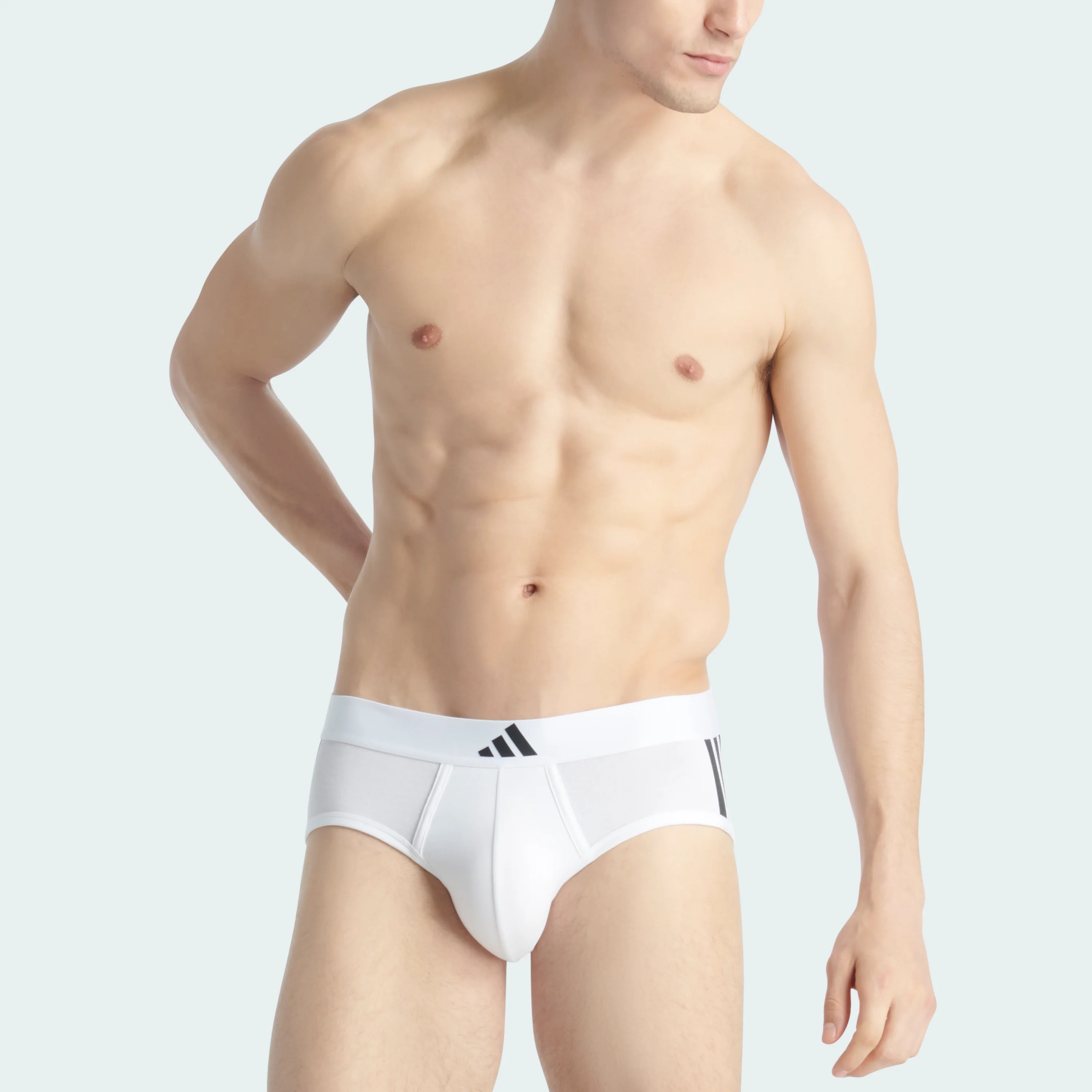 ACTIVE FLEX COTTON 3 STRIPES LOW RISE BRIEF 2 PAIRS - Image 18