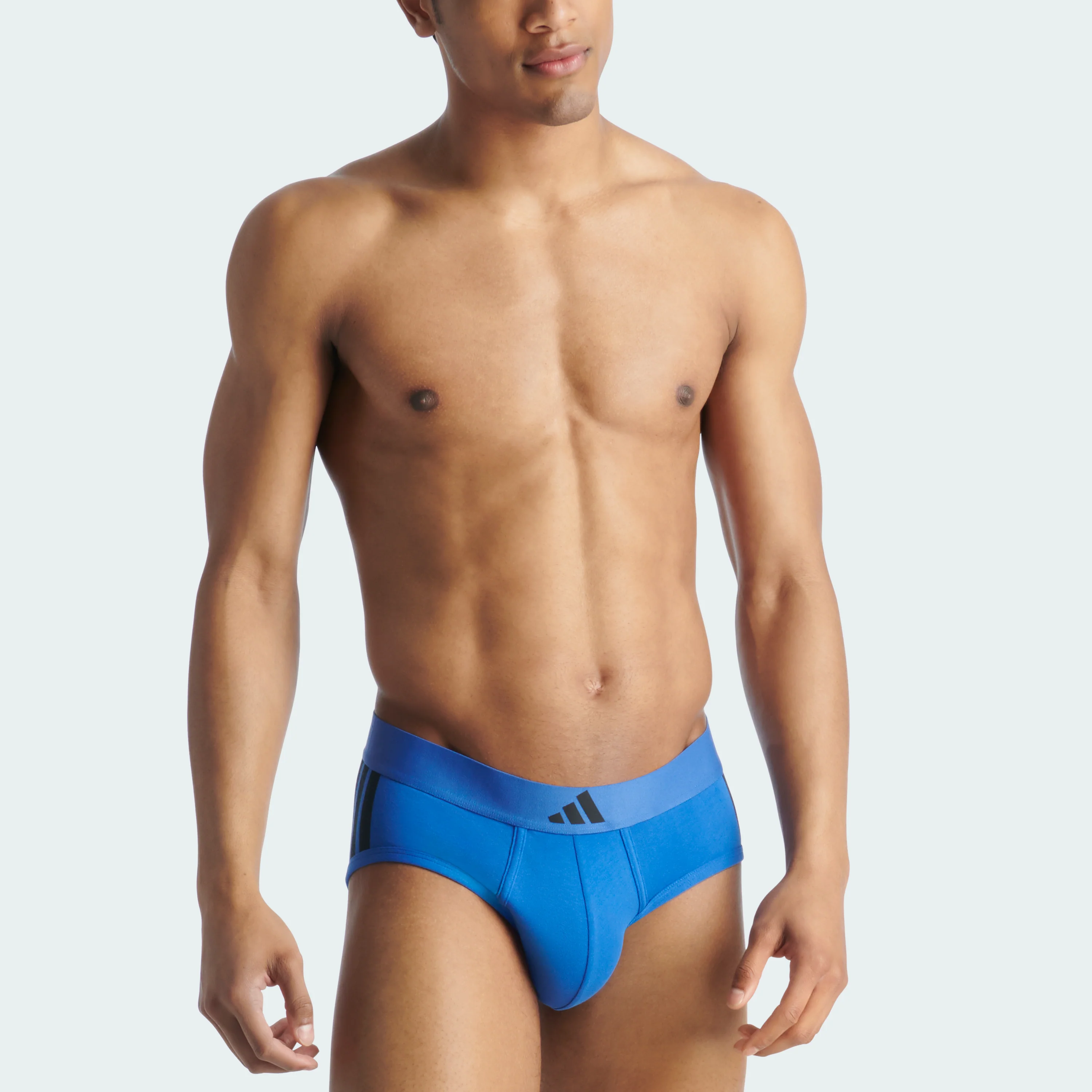 ACTIVE FLEX COTTON 3 STRIPES LOW RISE BRIEF 2 PAIRS - Image 24