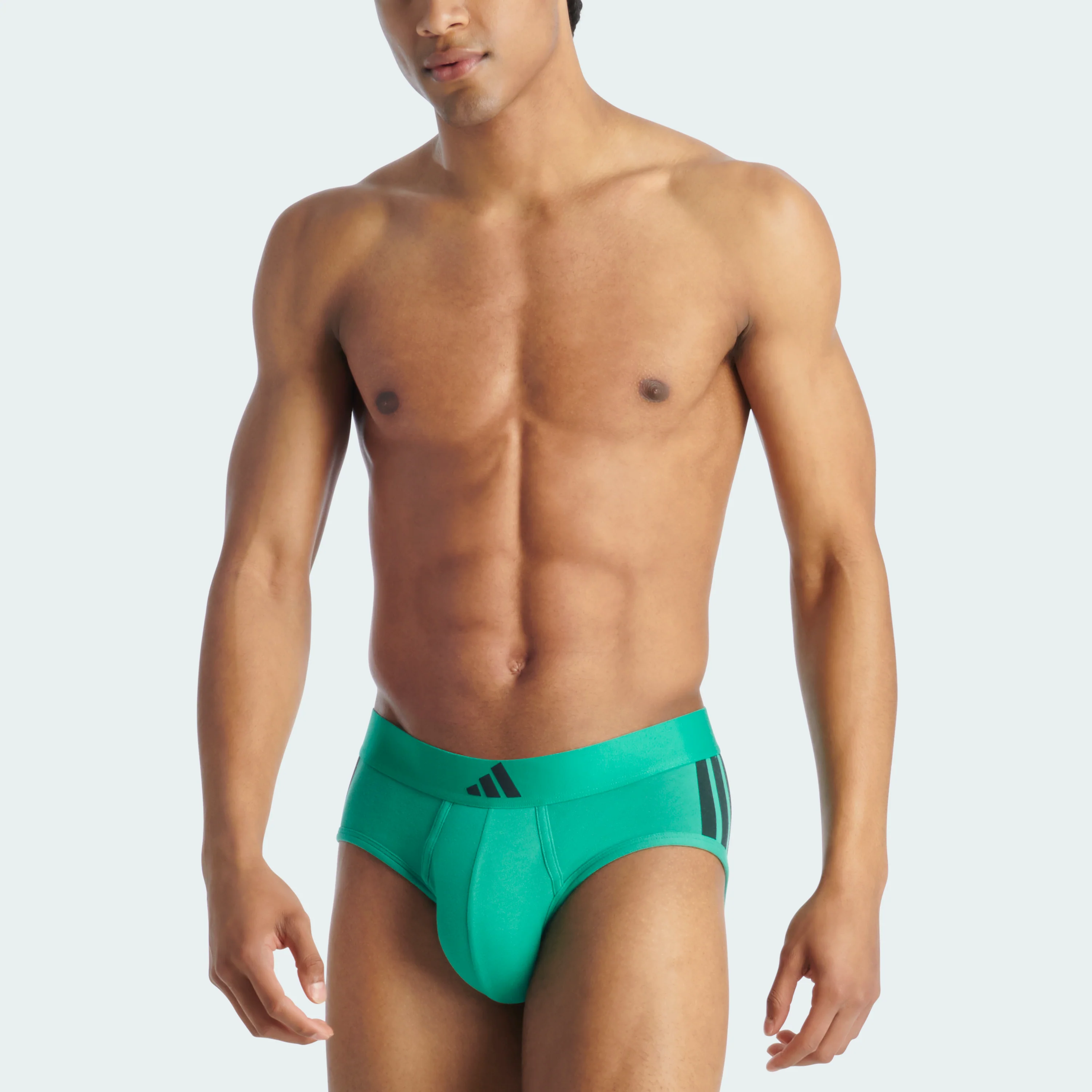 ACTIVE FLEX COTTON 3 STRIPES LOW RISE BRIEF 2 PAIRS - Image 30