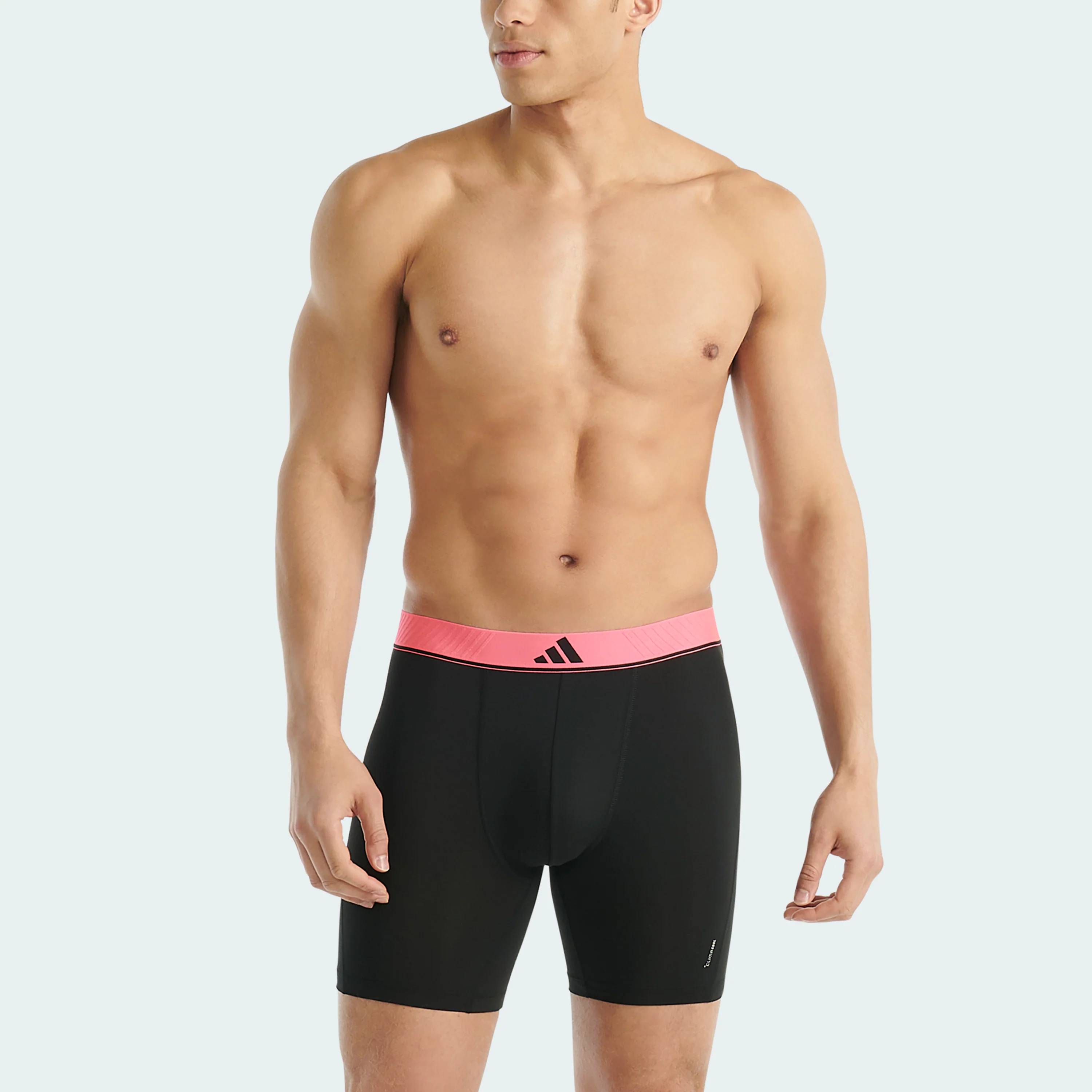 ACTIVE MICRO FLEX ECO BOXER BRIEF 3 PAIRS - Image 24