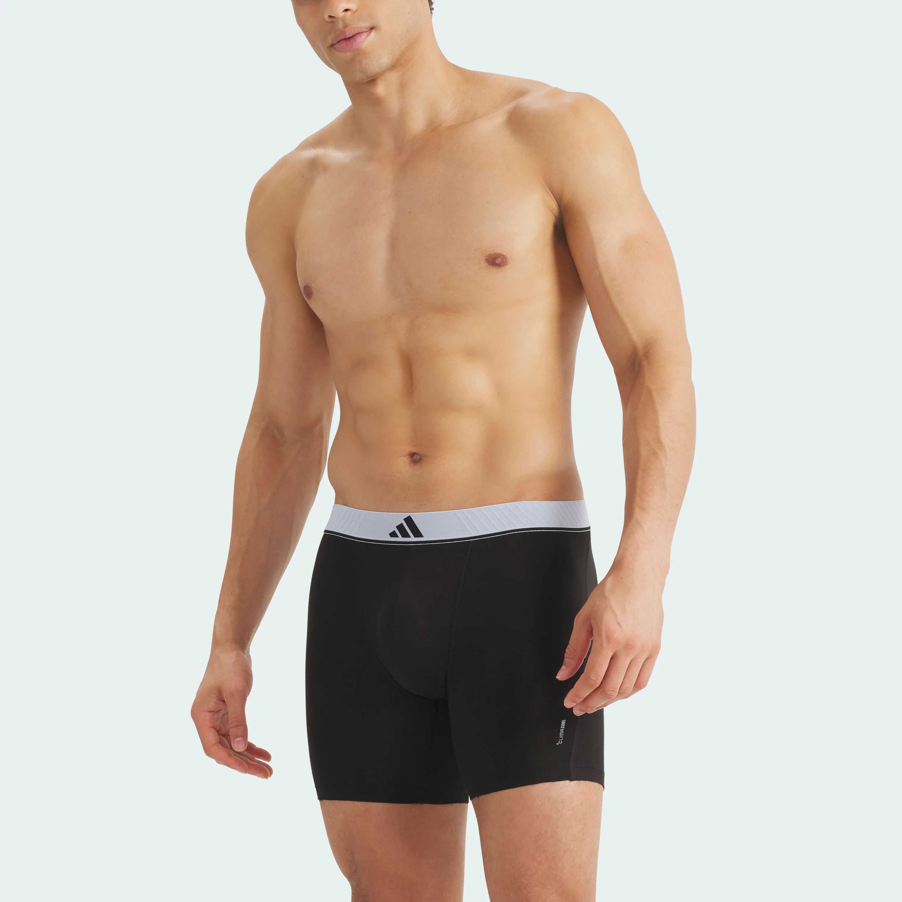 ACTIVE MICRO FLEX ECO BOXER BRIEF 3 PAIRS - Image 42