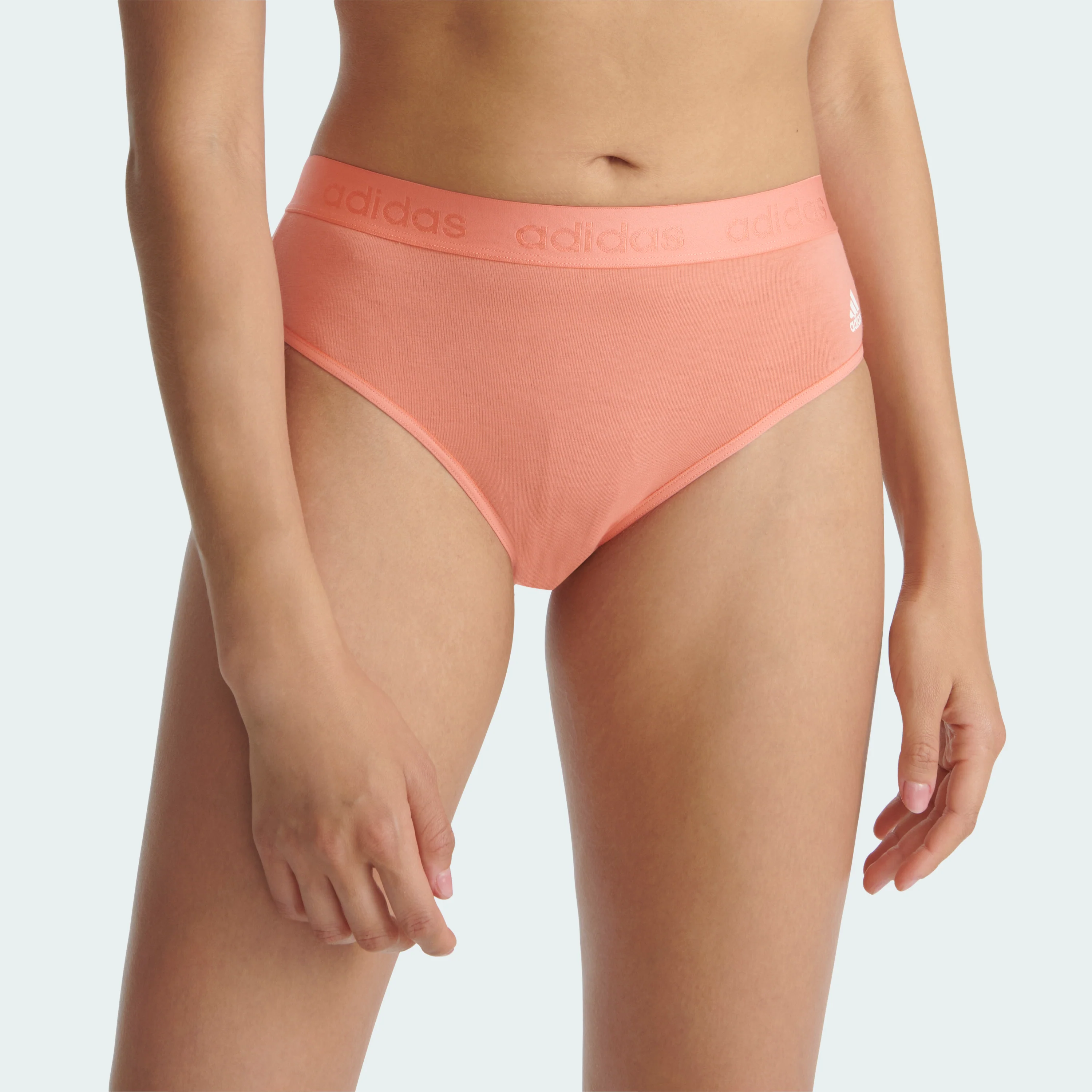 COMFORT FLEX COTTON BIKINI 2 PAIRS - Image 24